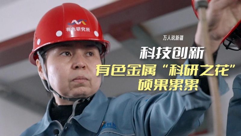 企业供应链管理的数字化转型之路**